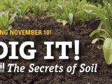 Dig It! The Secrets of Soil